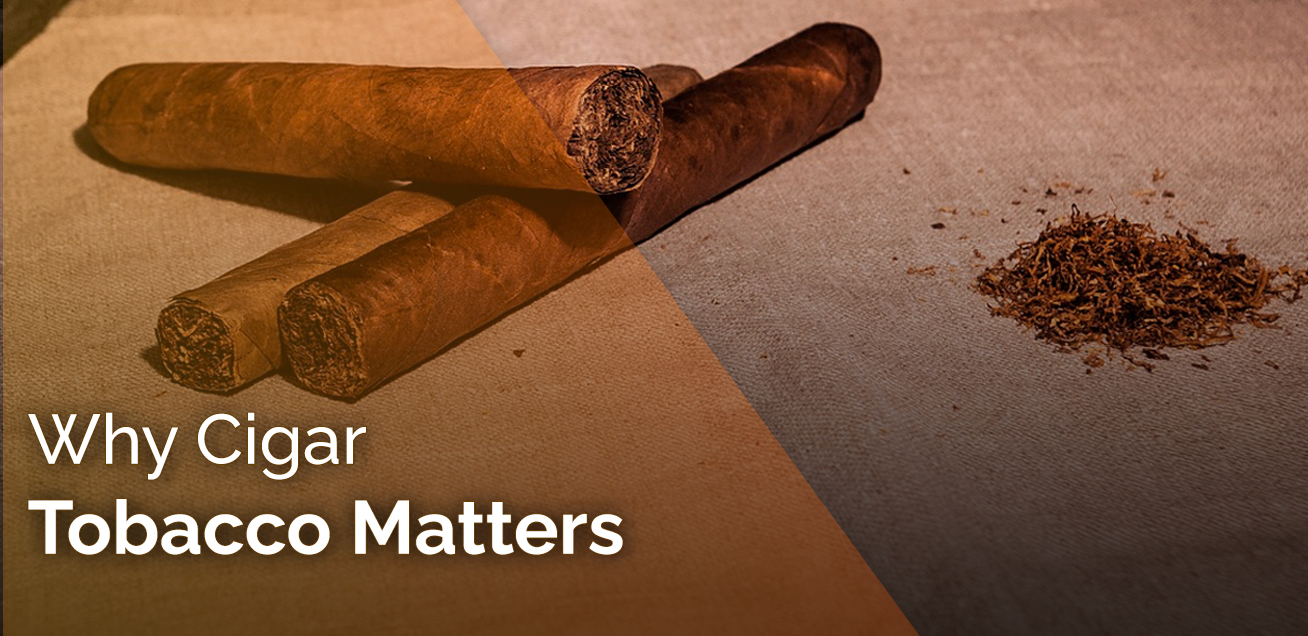 Why Cigar Tobacco Matters?